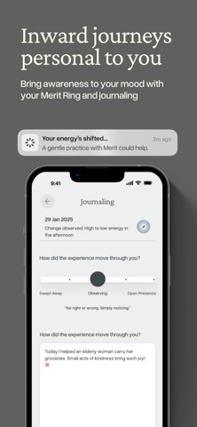 Do Merit Screenshot 2 of 6