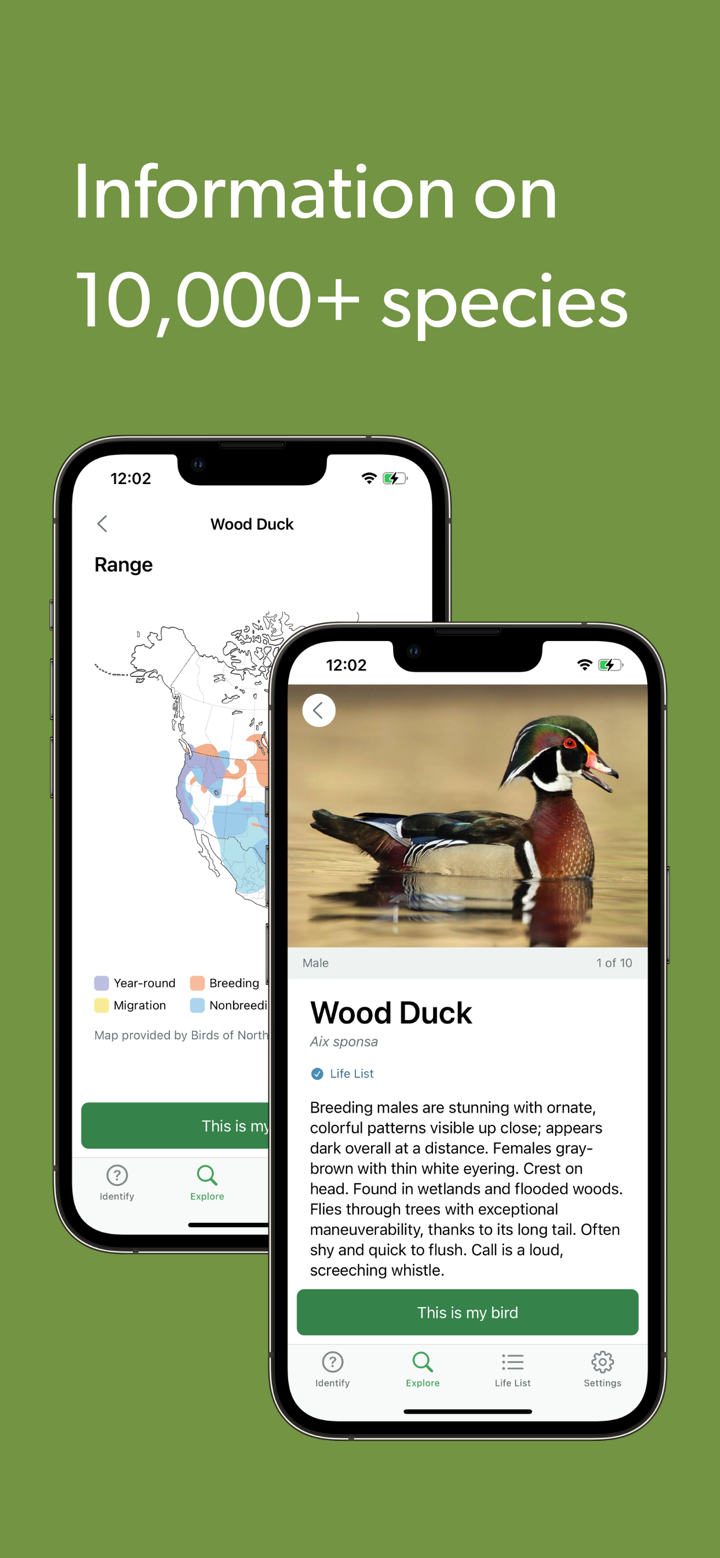 Merlin Bird ID by Cornell Lab screenshot 8