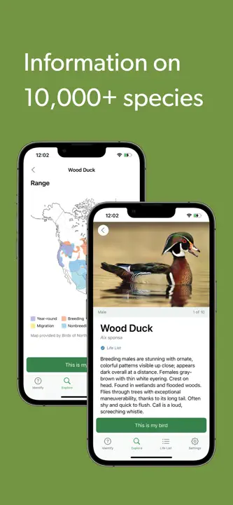 Merlin Bird ID by Cornell Lab: Screenshot 8 von 8