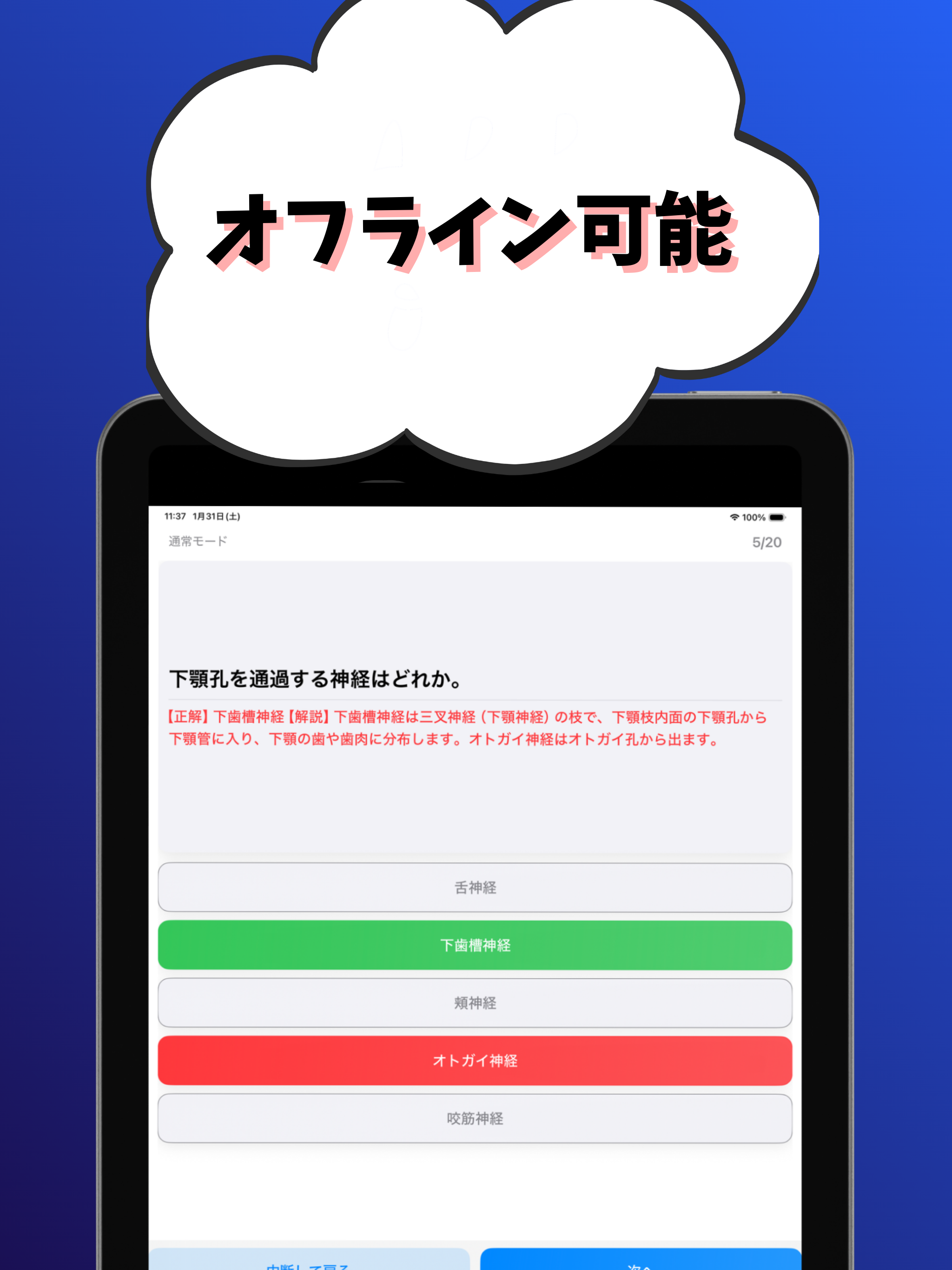 歯科医師-試験対策-国家資格