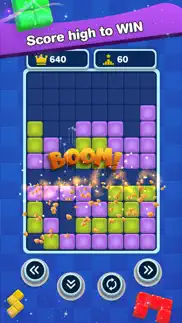 tetra brick puzzle game iphone screenshot 2