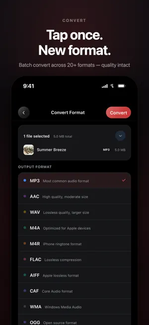 MP3 Converter - All Formats screenshot 2