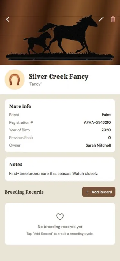 ULTIMATE Mare Manager screenshot 4