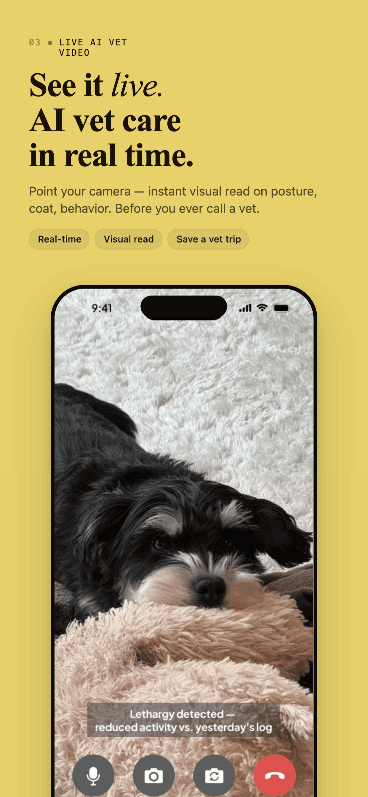 Voyage: AI Vet & Pet Health