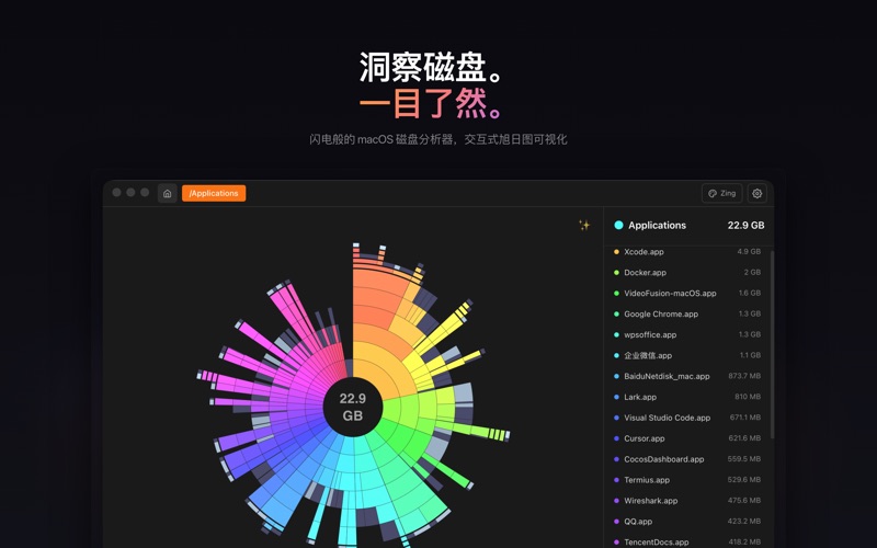 ZingDisk screenshot