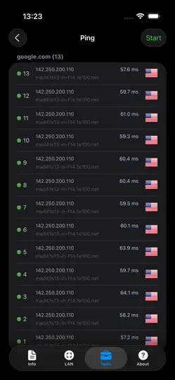 Screenshot von Network Analyzer: Net Tools auf dem iPhone 5