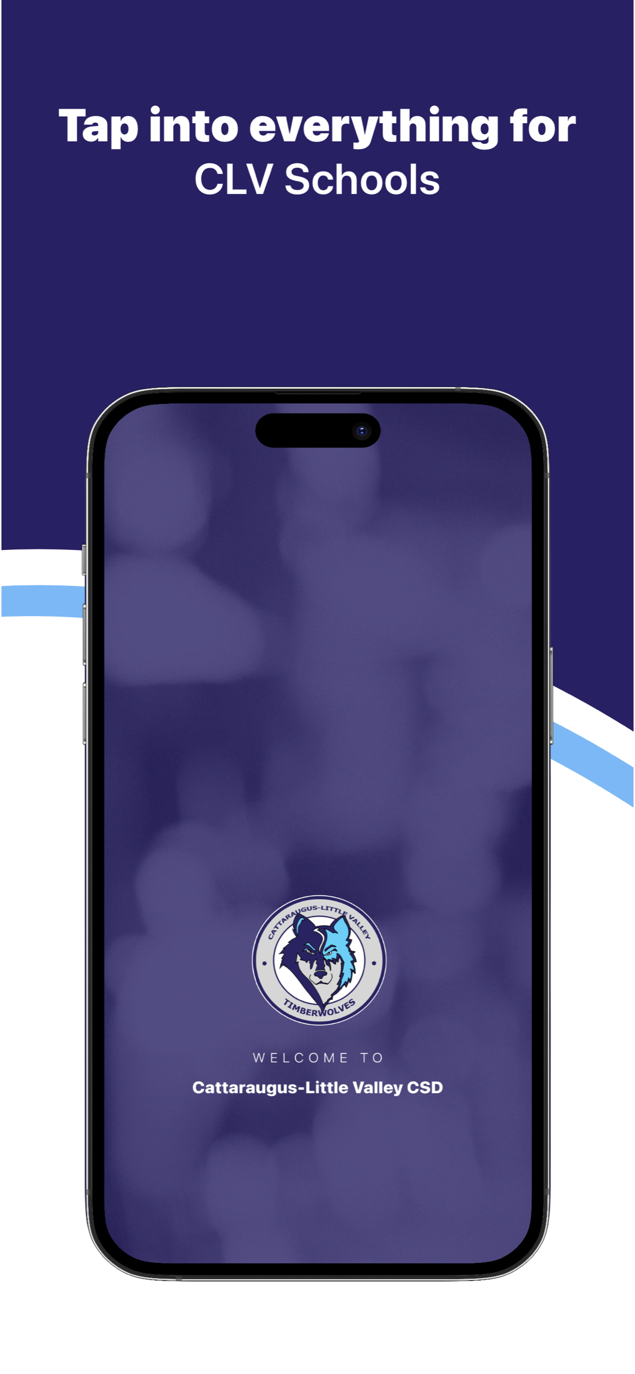 Cattaraugus-Little Valley CSD