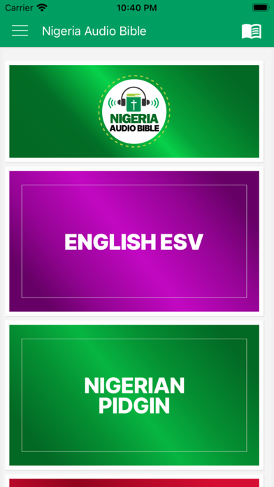 Nigeria Audio Bible Screenshot