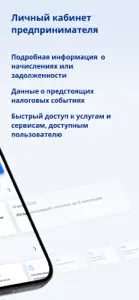 Личный кабинет предпринимателя screenshot #2 for iPhone