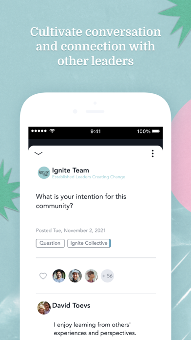 The Ignite Collective Screenshot