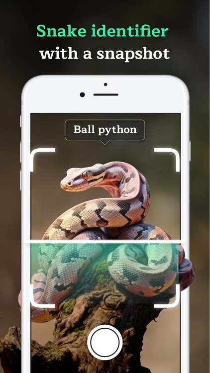 Frog Identifier Snake Scanner