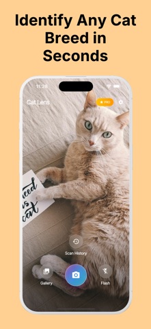 Cat Identifier: Cat Lens Screenshot 1 of 4