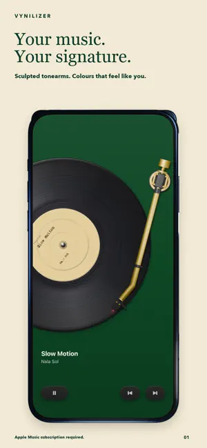 Vynilizer Vinyl Player screenshot 1