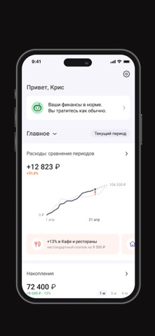 Дзен-мани: учет расходов iPhone screenshot 7