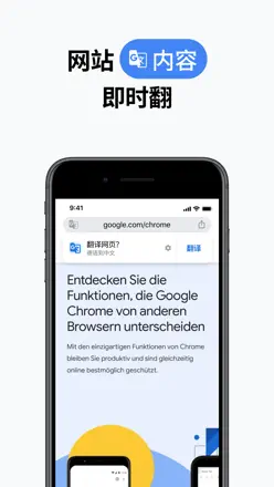 Google Chrome screenshot 3