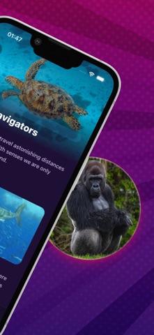 Animal Quiz & Facts iPhone screenshot