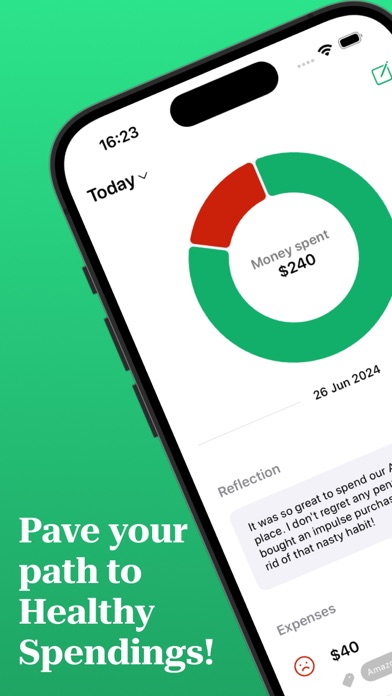 Daily Budget Tracker - Piedget Screenshot