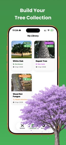 Tree Identifier: Wood & Leaf screenshot
