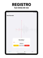 grabadora de voz ® ipad capturas de pantalla 1