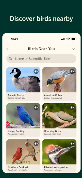 Audubon Bird Guide: Screenshot 5 von 6