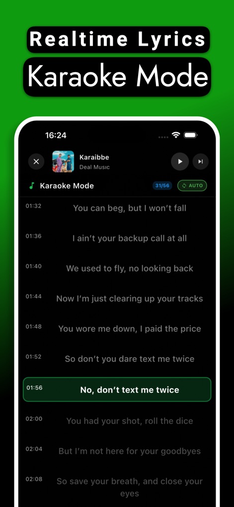 Offline Music Player - Muzika - Dive into interactive listening with the app's dedicated Karaoke mode, showcasing synchronized lyrics that highlight the current line.