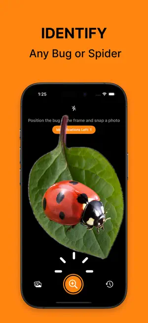 Bug Identifier - BugClip AI screenshot 1