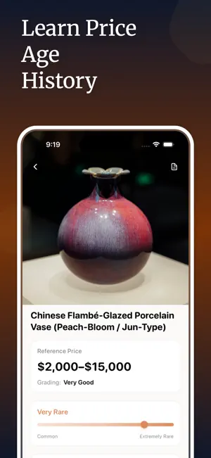 AntiqScan: Antique Identifier screenshot 3