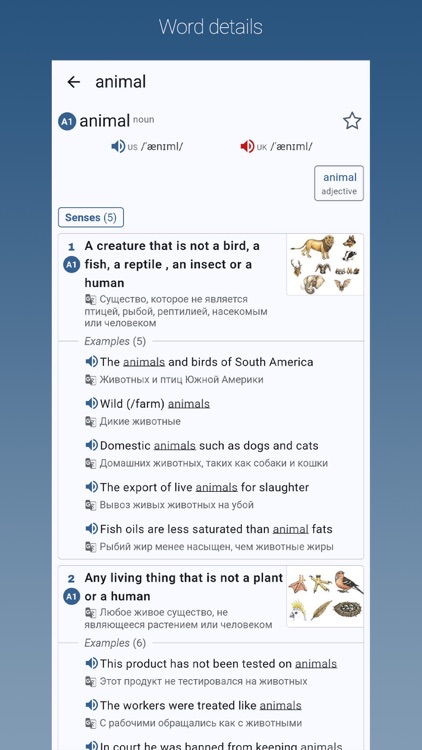 English-Russian Dictionary Pro