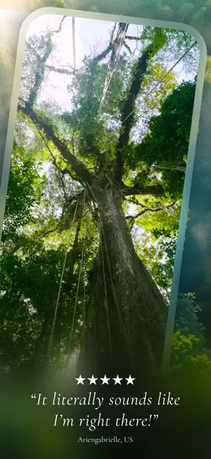 Portal - Escape Into Nature screenshot 5