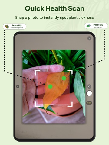 AI plant identifier plantcare iPad screenshot