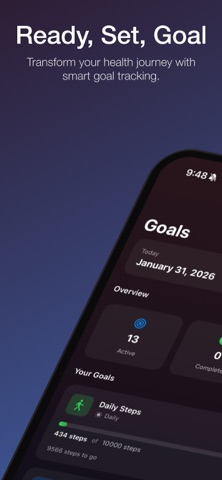 Ready, Set, Goal screenshot