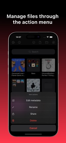 Music App: offline player iPhone screenshot 8