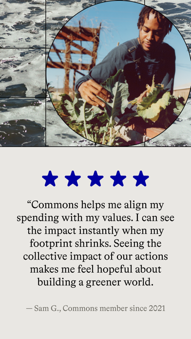 Commons: Sustainable Spending Screenshot