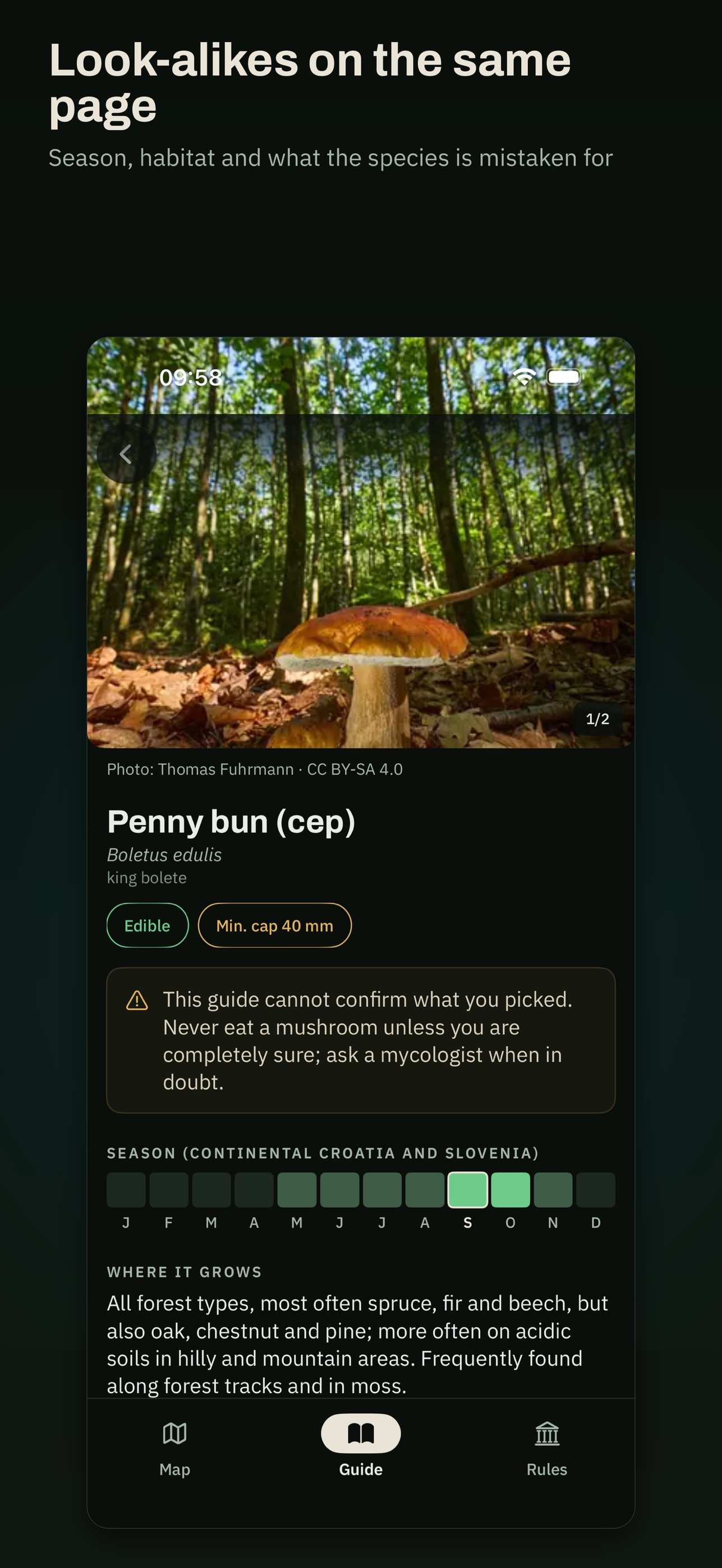 Screenshot 4 of Gljivar — mushroom forecast