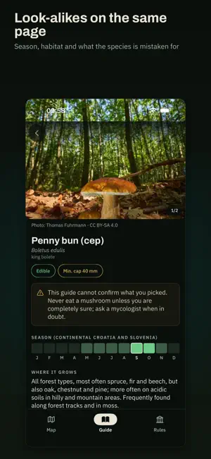 Gljivar — mushroom forecast screenshot 4