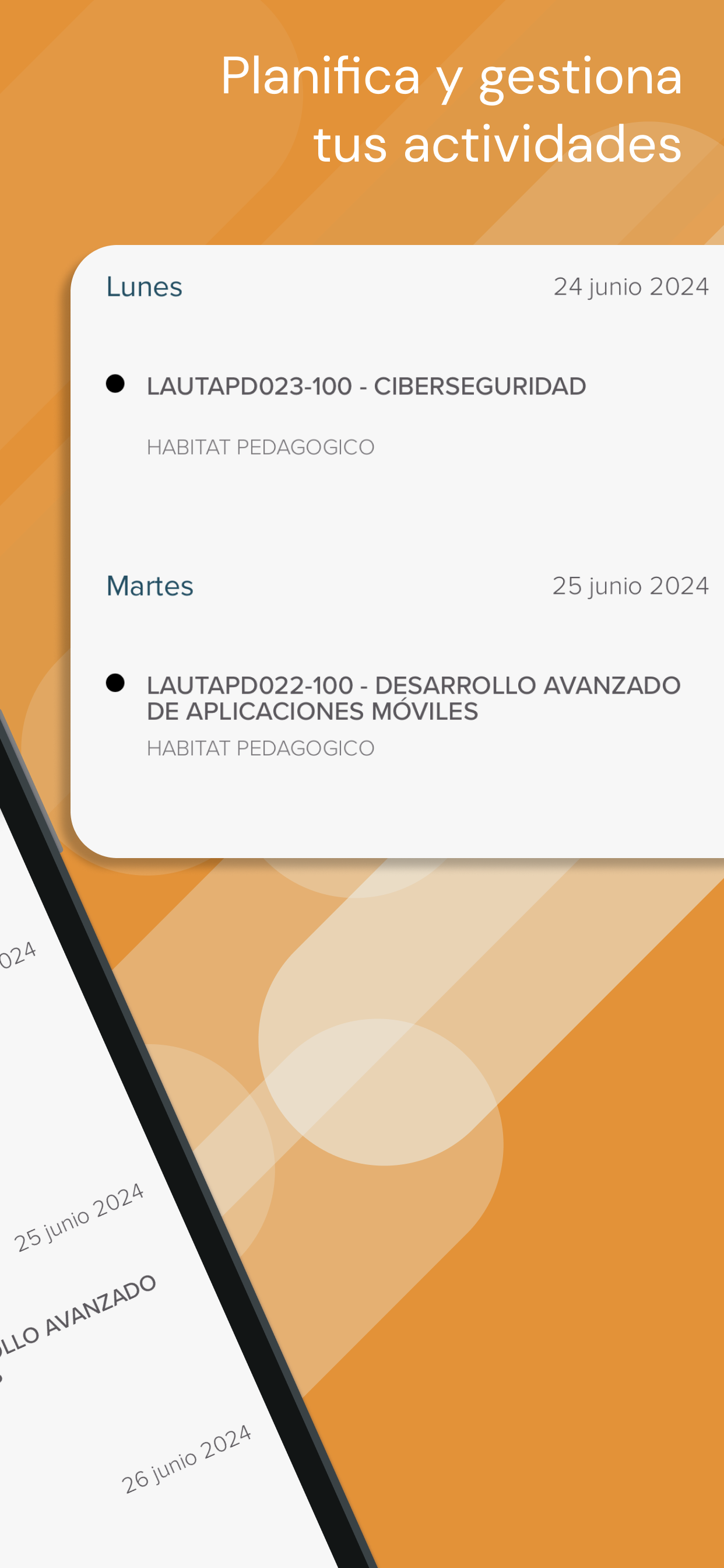 CFTAraucanía