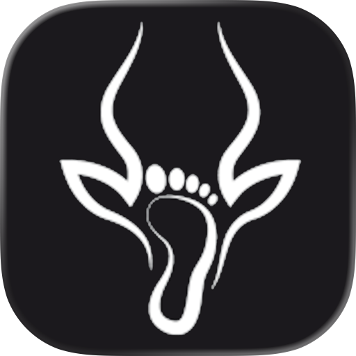 Dangelo: Run Training Plans