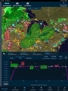 WSI Pilotbrief Optima screenshot #2 for iPad