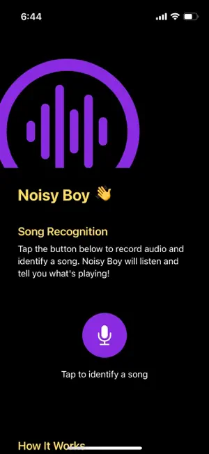 Noisy Boy: Music Recognition screenshot 1