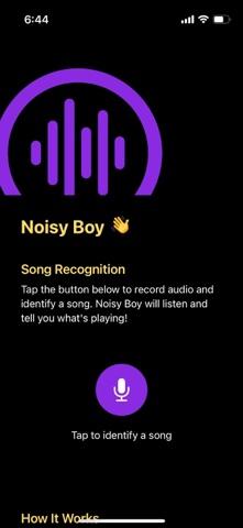 Noisy Boy: Music Recognition Screenshot 1 of 2