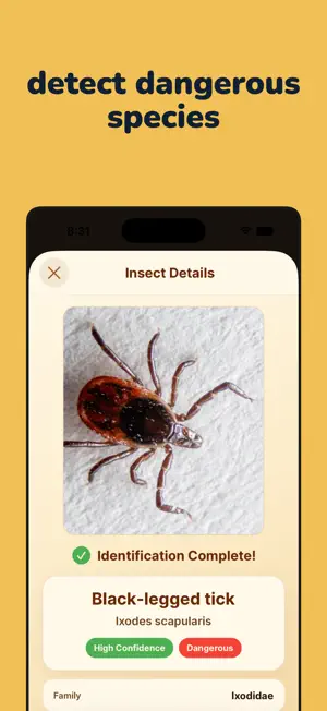 Bugify: Insect Identifier screenshot 3
