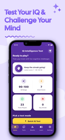 IQ Intelligence Test iPhone screenshot
