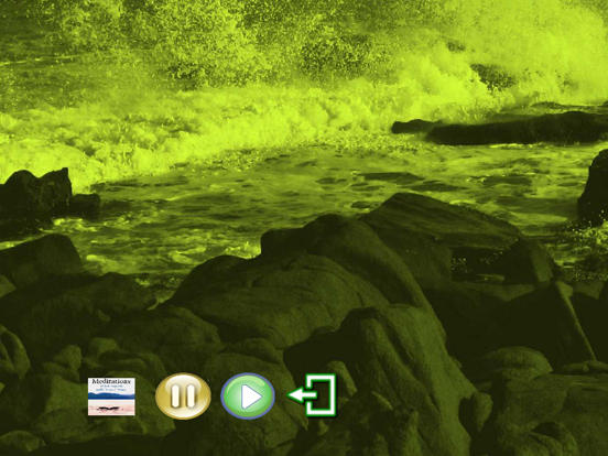 Screenshot #5 pour Meditations - Whales and Music