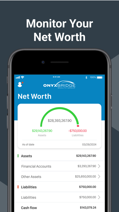 Onyx Bridge Wealth Screenshot
