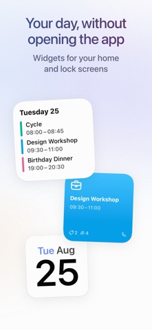 Daybridge Calendar Screenshot 5 of 7