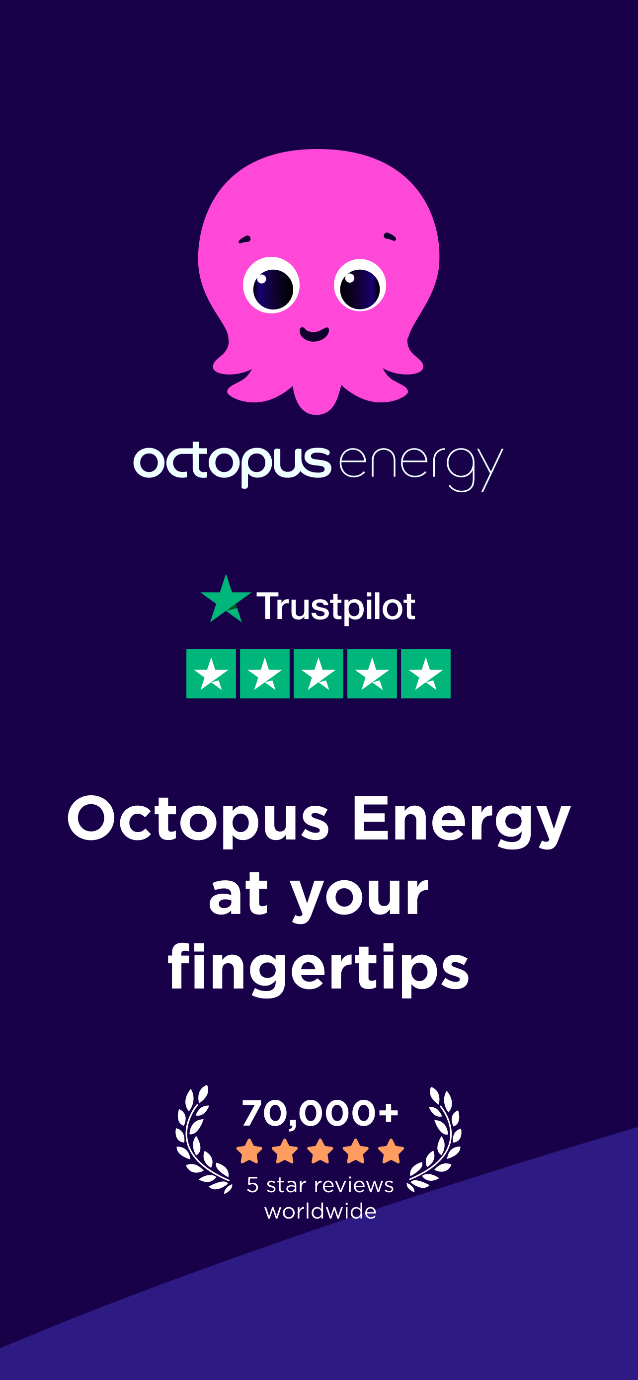 Octopus Energy