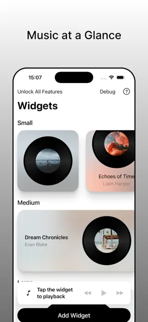 Album Widget - Music as Art screenshot 2