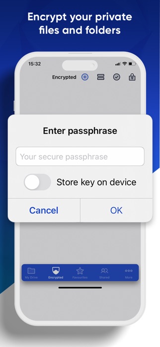 Icedrive – Cloud Storage Screenshot 3 of 9