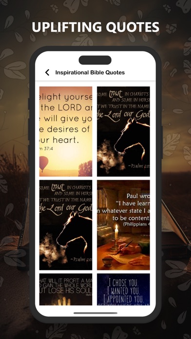 Bible Louis Segond Audio Pro Screenshot