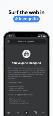 Google Chrome screenshot 8